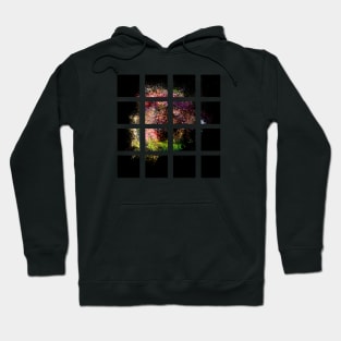 Untitled (abstract digital painting) Hoodie